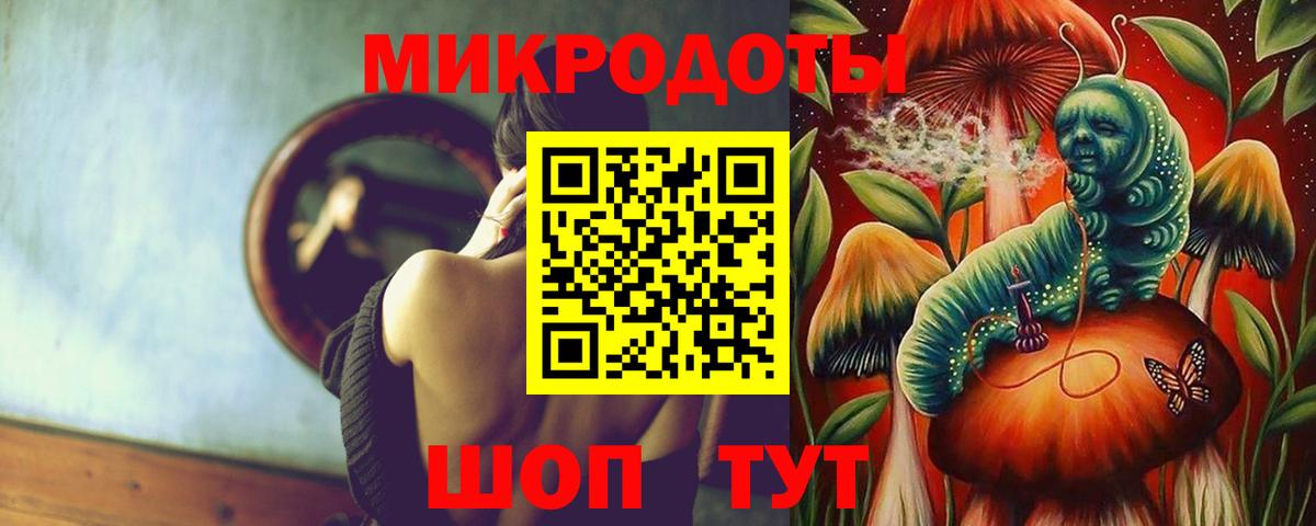 Псилоцибиновые грибы Psilocybine cubensis Красногорск